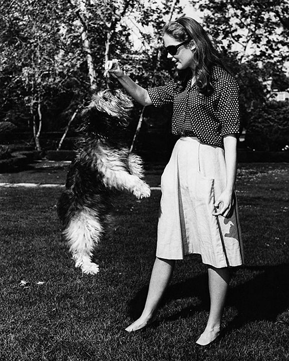 Un retazo azul : Foto