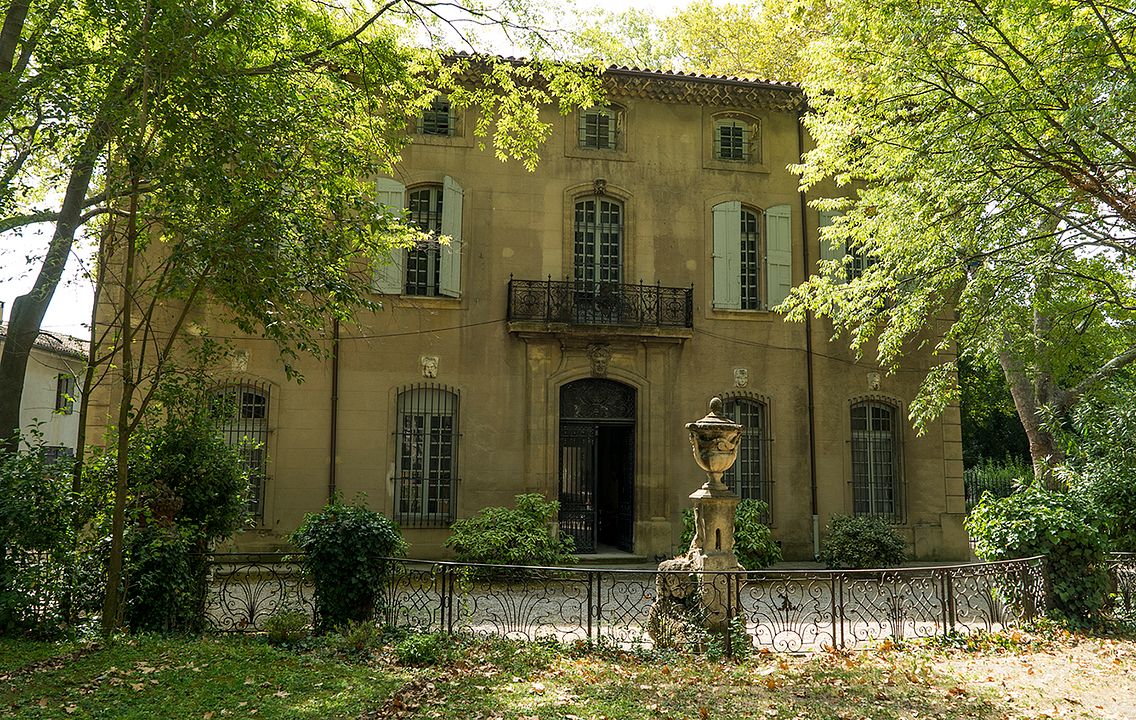 Cézanne: Retratos de una vida : Foto