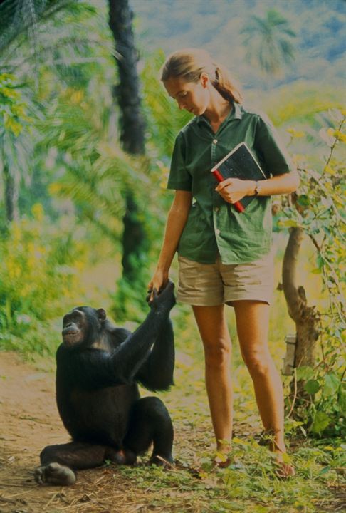 Jane : Foto Jane Goodall