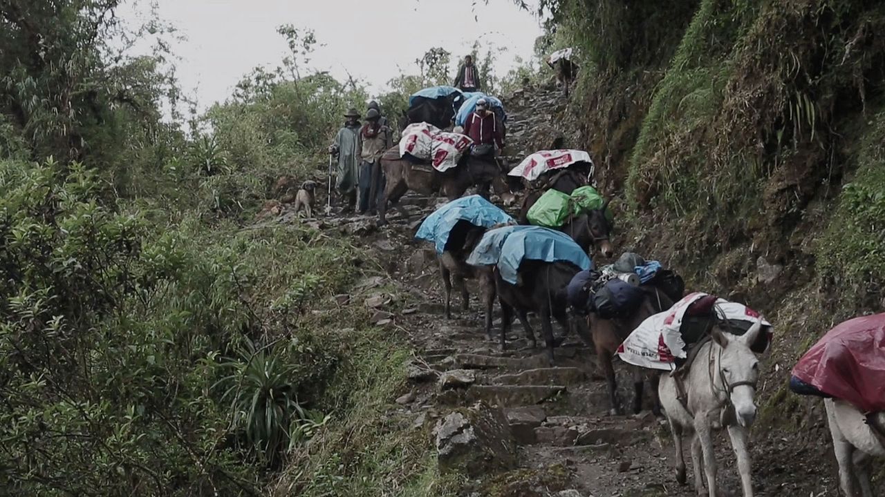 En busca de la Ciudad Perdida : Foto