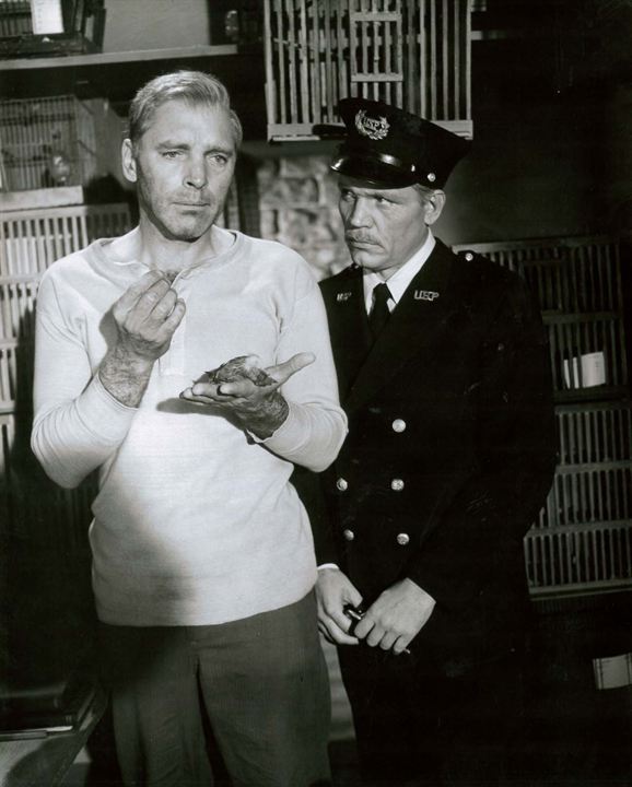 El hombre de Alcatraz : Foto