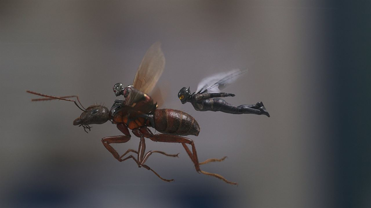 Ant-Man y la Avispa : Foto Paul Rudd