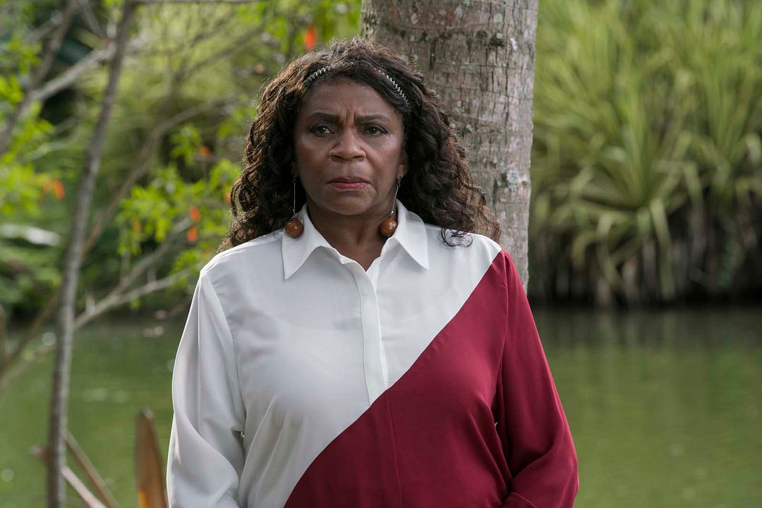 3% : Foto Zezé Motta