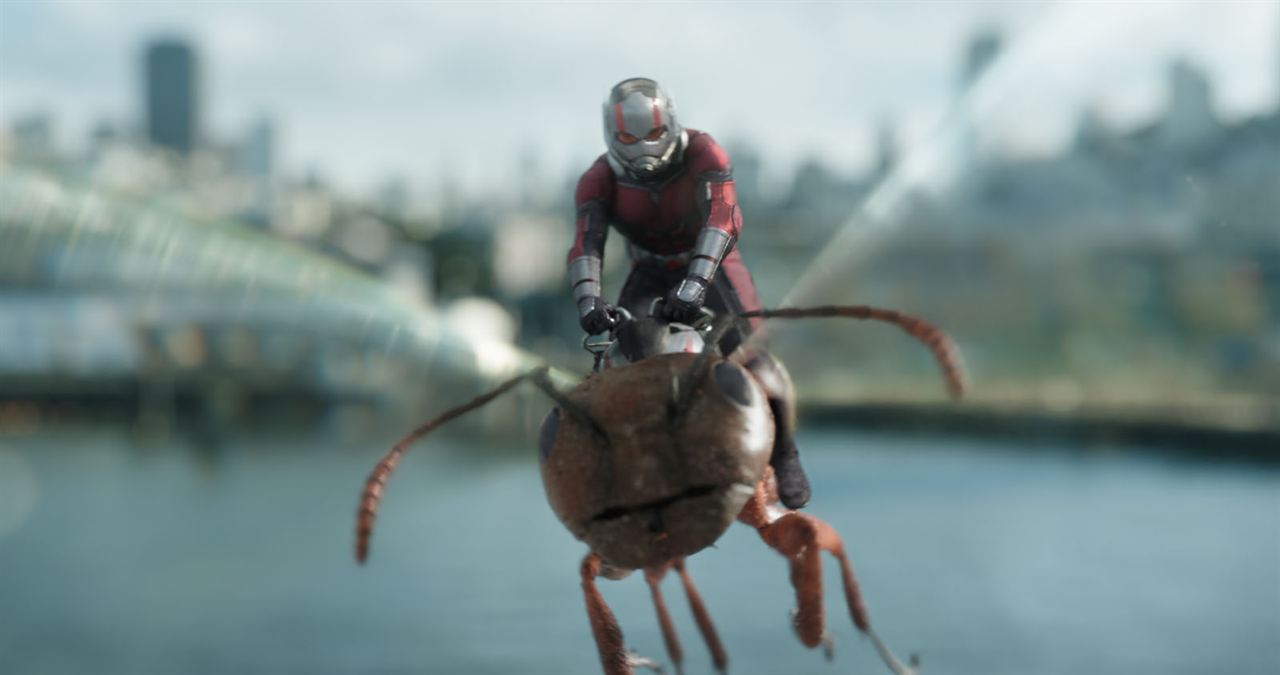 Ant-Man y la Avispa : Foto Paul Rudd