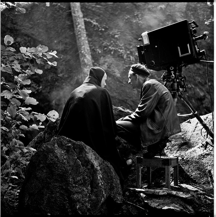 Bergman, su gran año : Foto