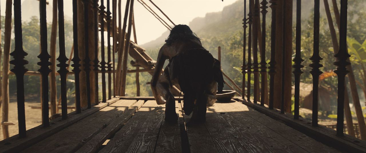 Mowgli: La leyenda de la selva : Foto