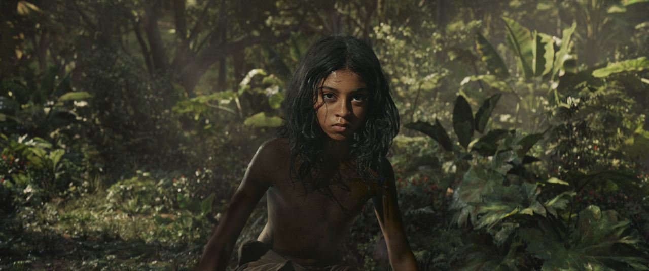 Mowgli: La leyenda de la selva : Foto Rohan Chand (II)
