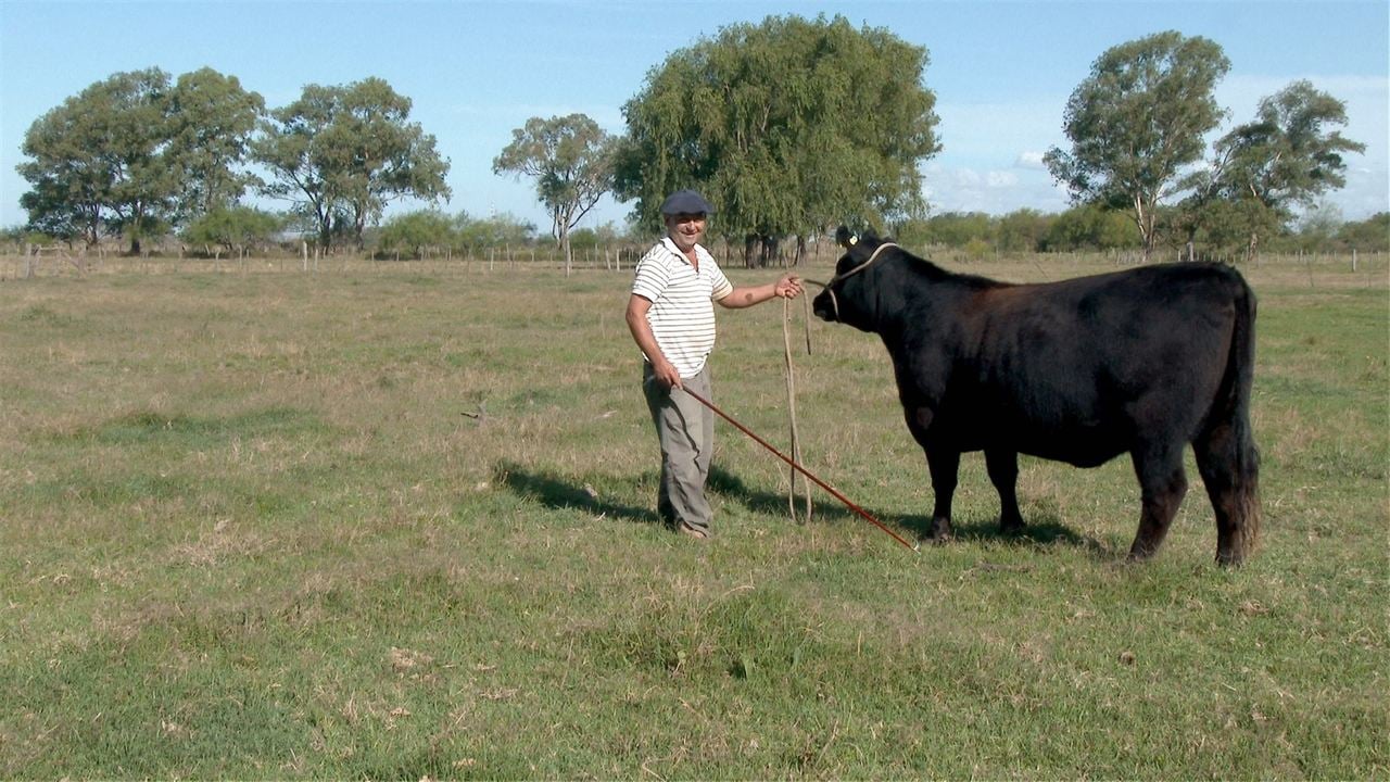 Todo sobre el asado : Foto