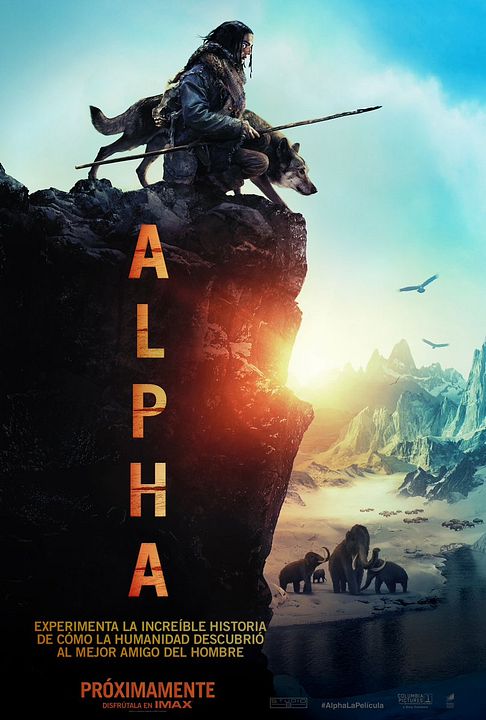 Alpha : Cartel