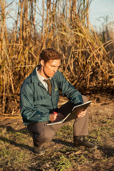 True Detective : Foto