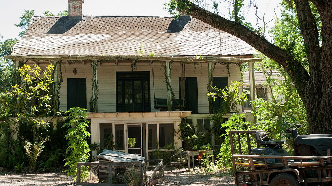 True Detective : Foto