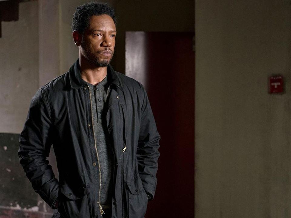 Colony : Foto Tory Kittles