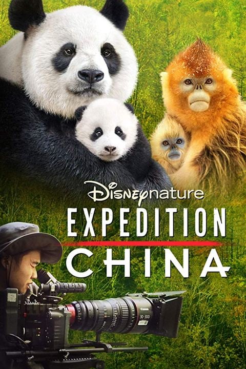 Disneynature. Expedición. China. : Cartel