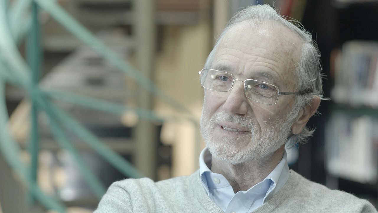 Renzo Piano: Un arquitecto para Santander : Foto