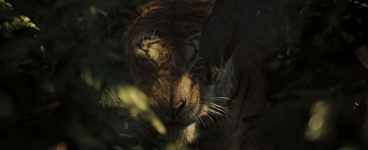Mowgli: La leyenda de la selva : Foto