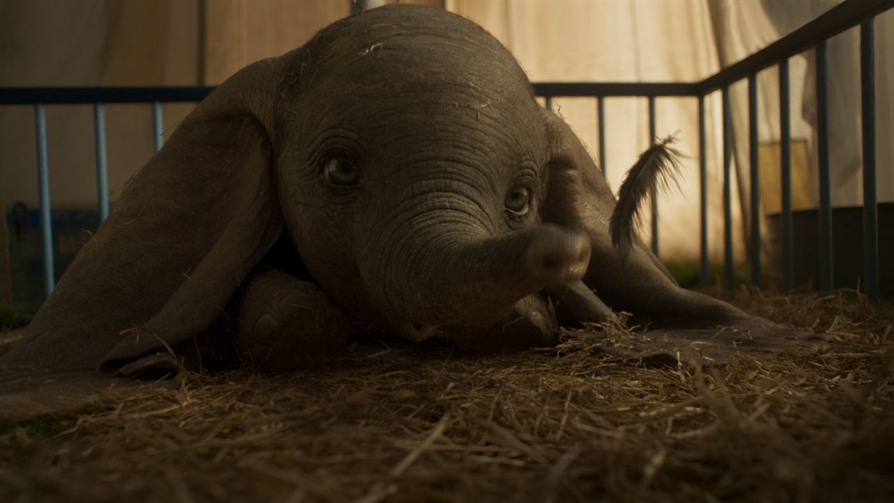 Dumbo : Foto