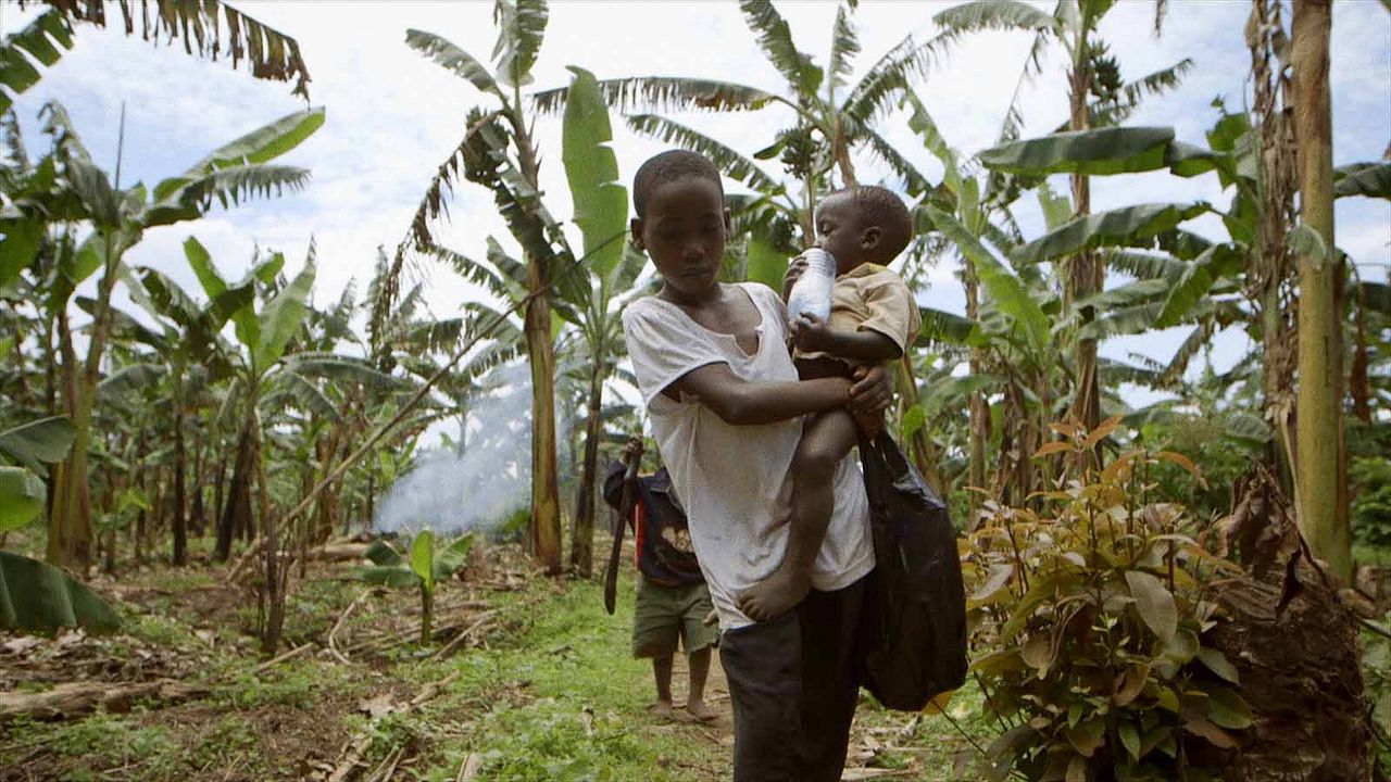 Food Evolution : Foto