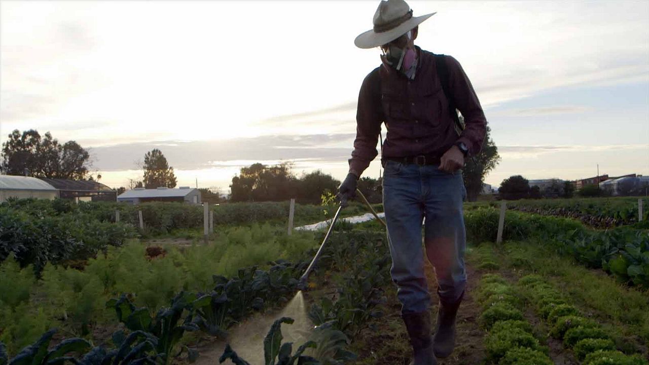 Food Evolution : Foto