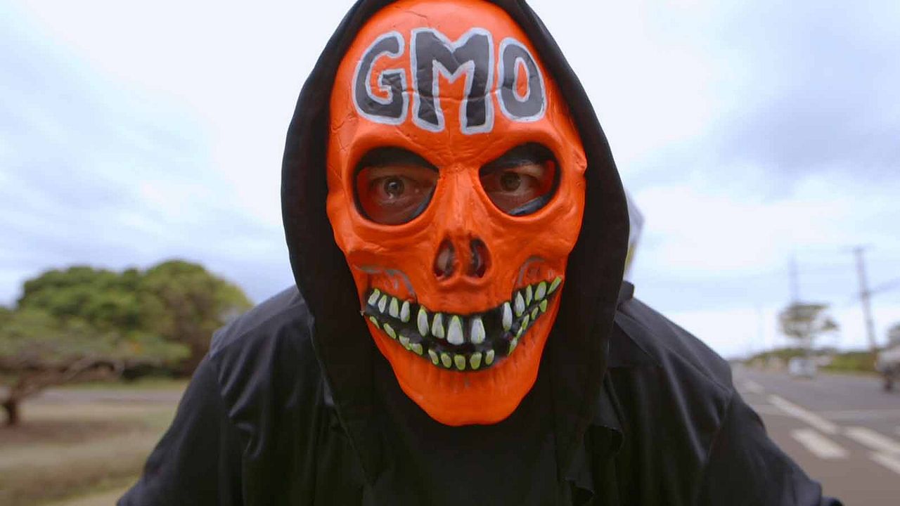 Food Evolution : Foto