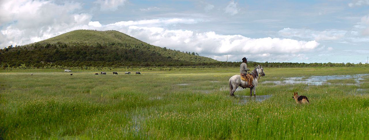 Nuestro Tiempo : Foto