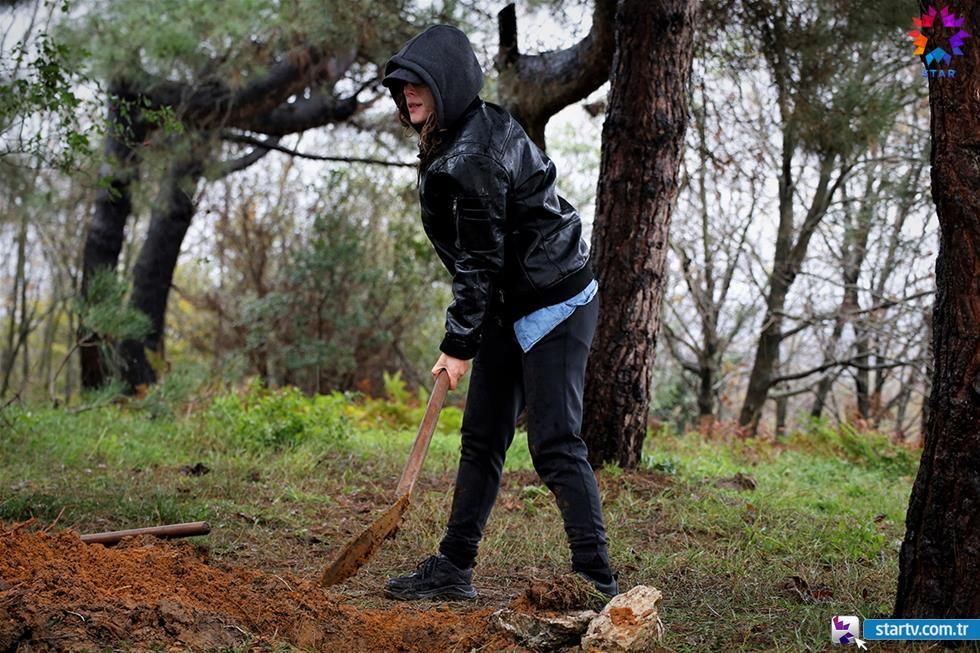 Avlu: El patio : Foto