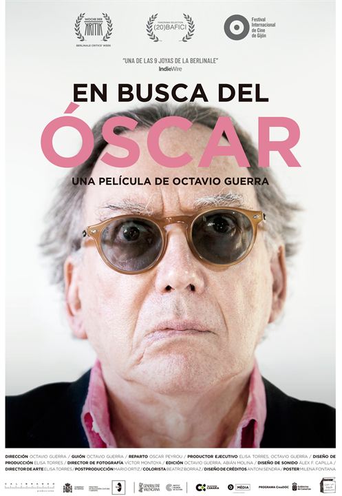 En busca del Oscar : Cartel
