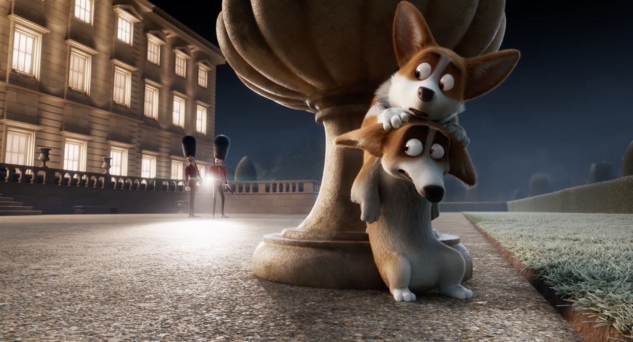 Corgi, las mascotas de la reina : Foto