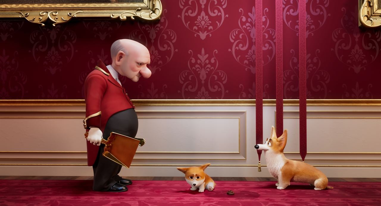 Corgi, las mascotas de la reina : Foto