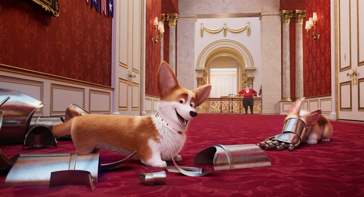 Corgi, las mascotas de la reina : Foto