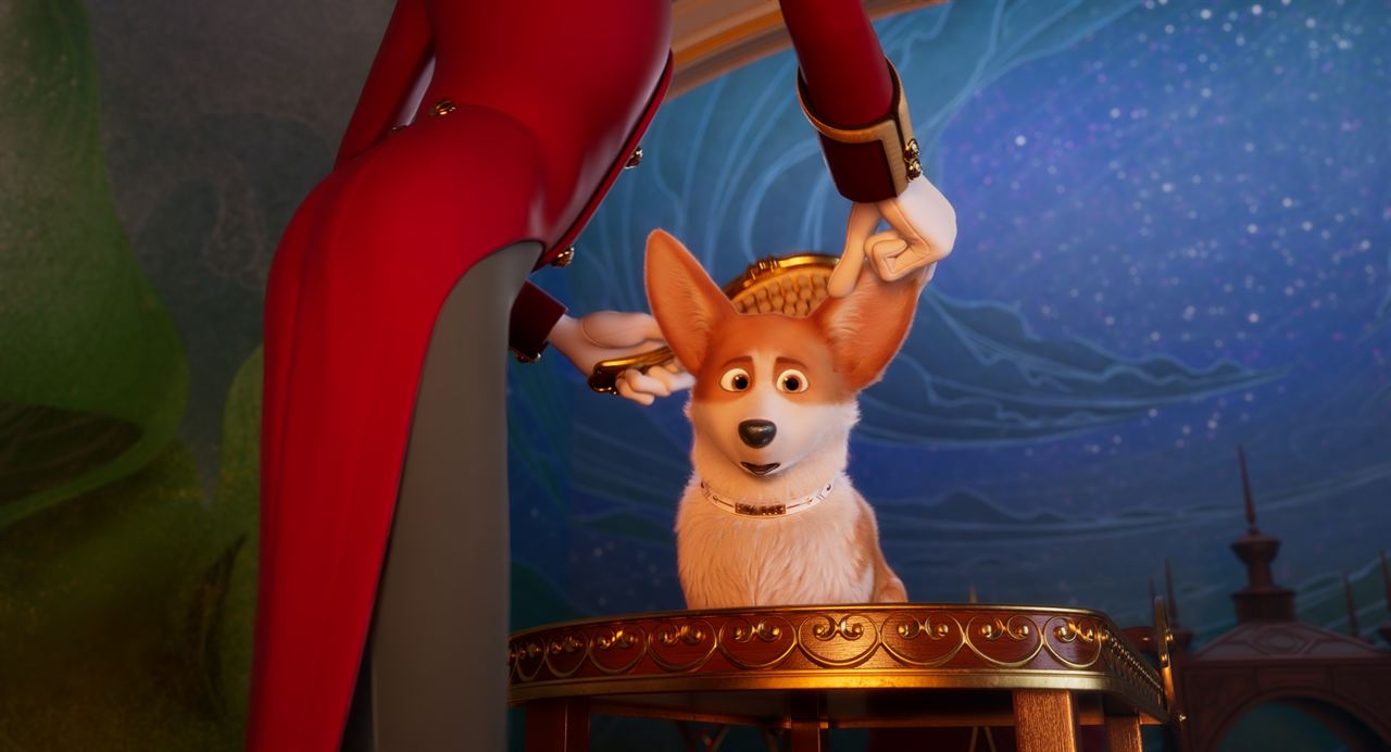 Corgi, las mascotas de la reina : Foto