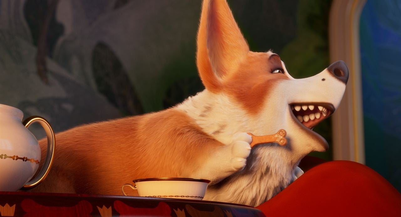 Corgi, las mascotas de la reina : Foto