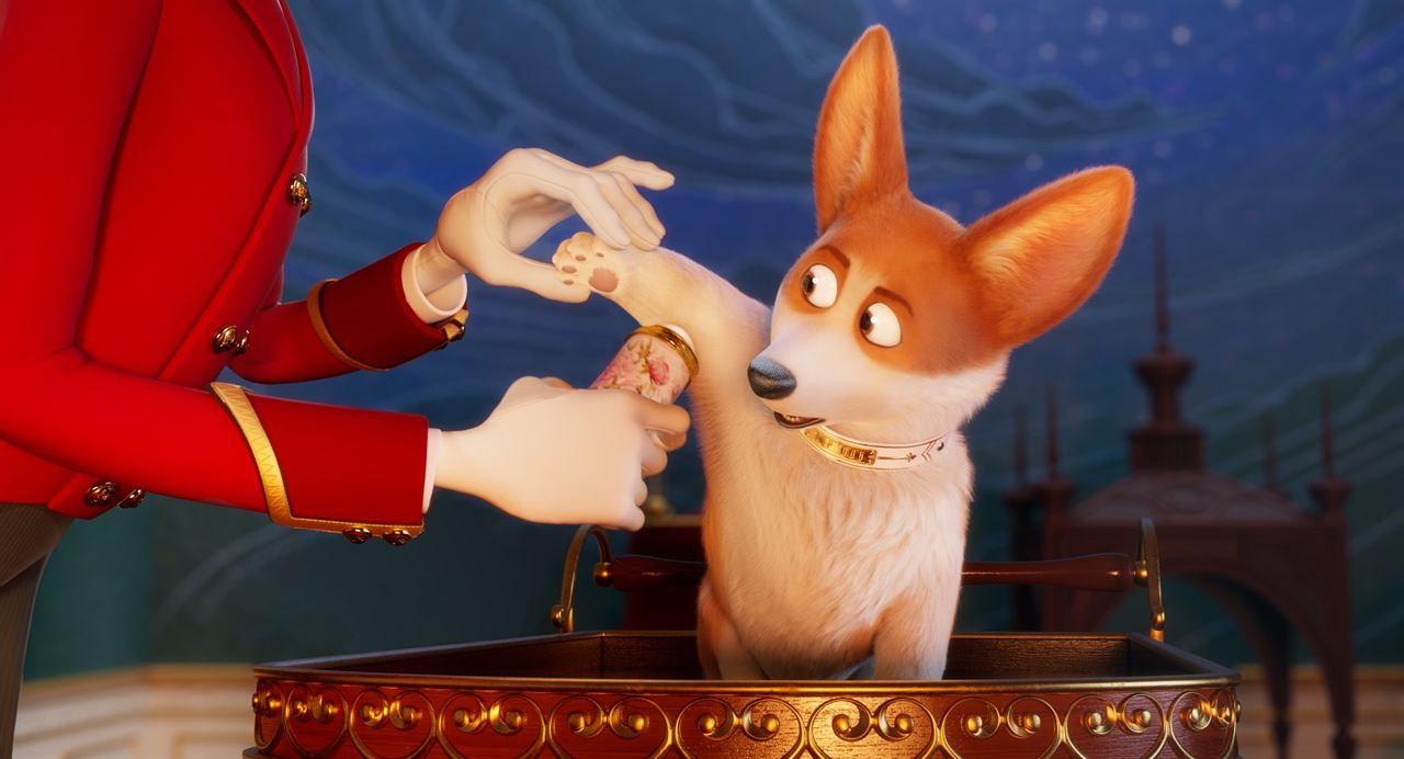 Corgi, las mascotas de la reina : Foto