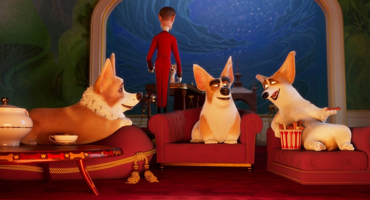 Corgi, las mascotas de la reina : Foto