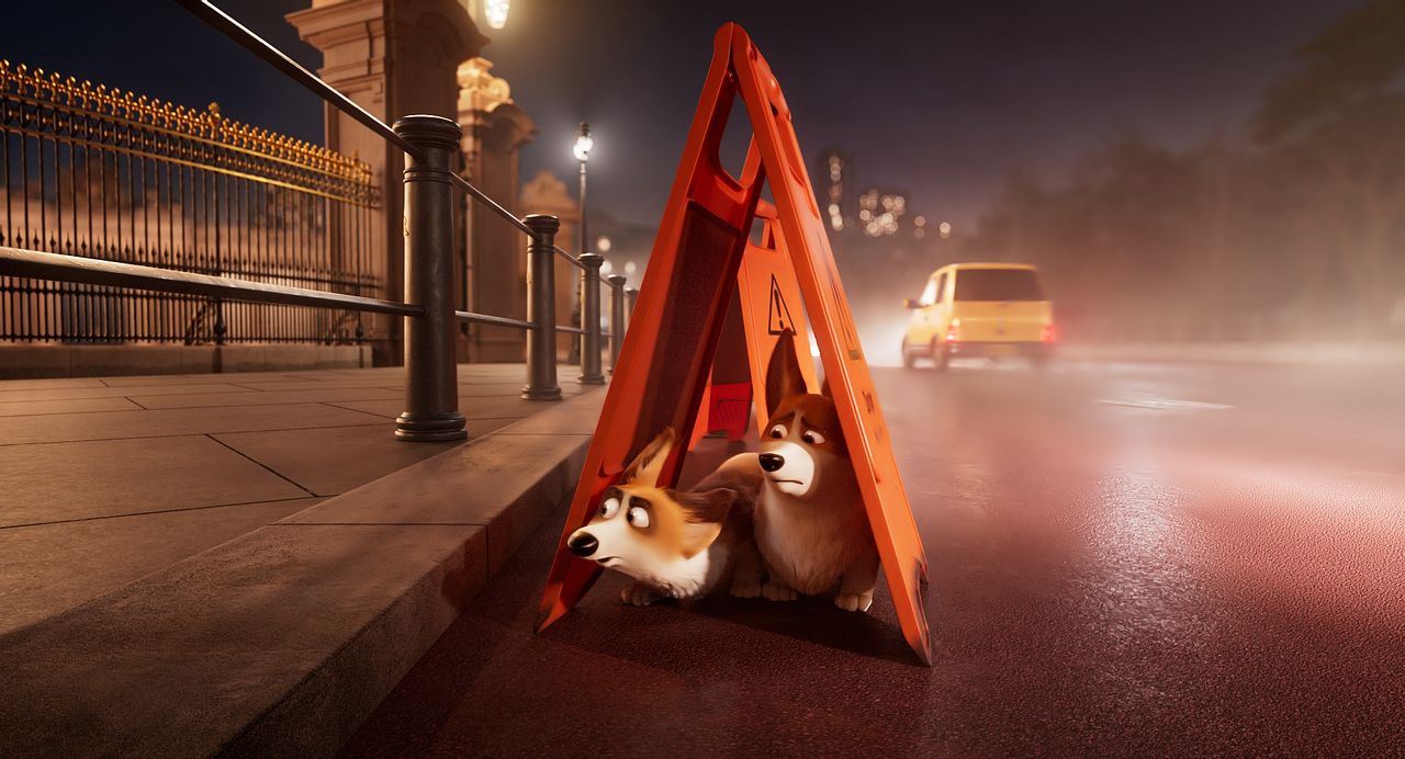 Corgi, las mascotas de la reina : Foto