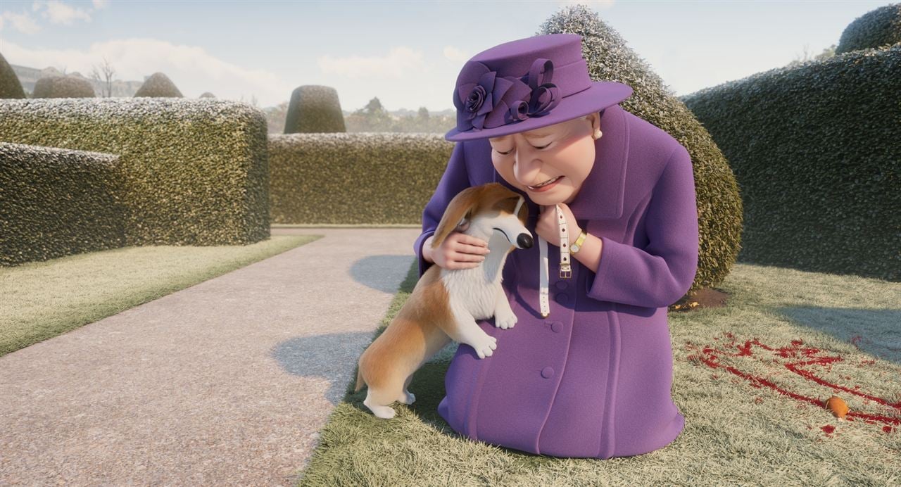 Corgi, las mascotas de la reina : Foto