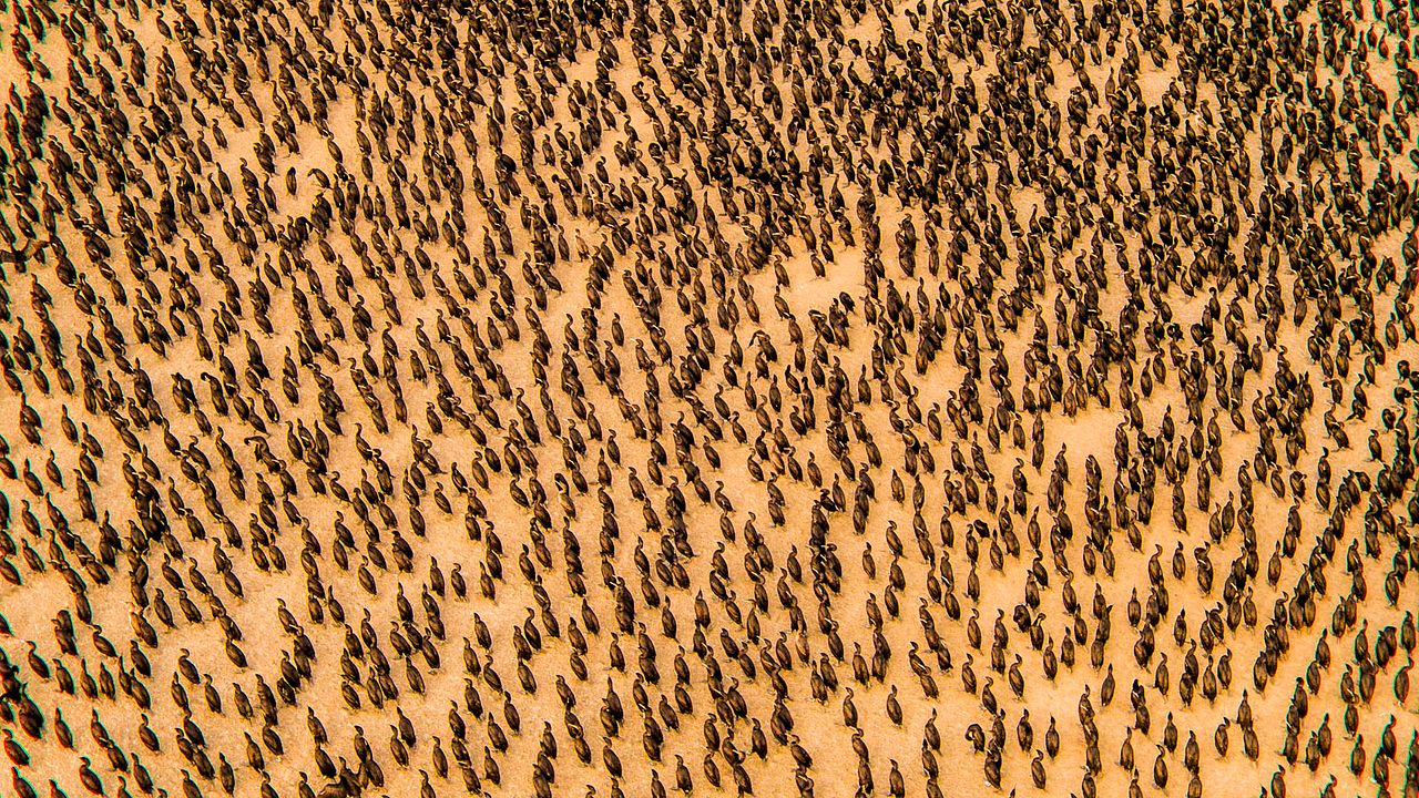 Nuestro planeta : Foto