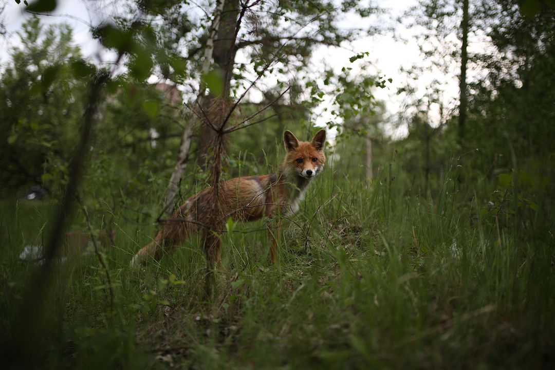 Nuestro planeta : Foto