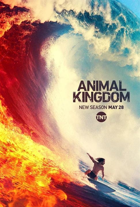 Animal Kingdom : Cartel