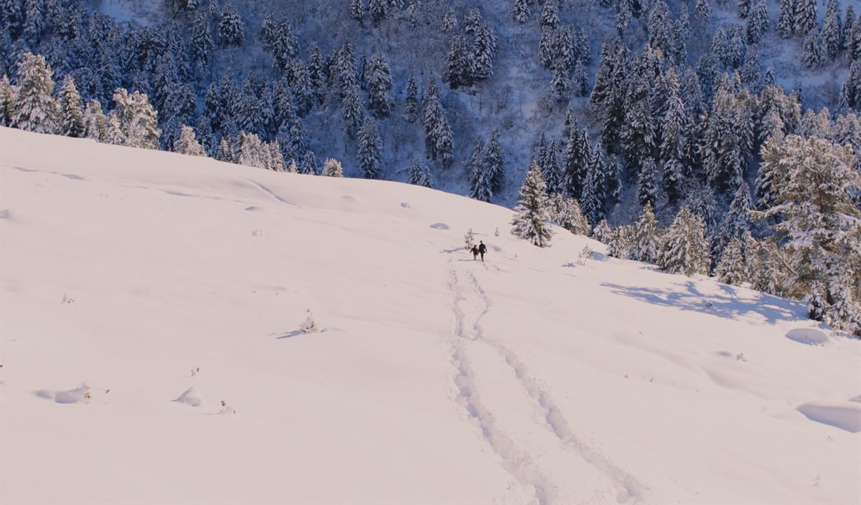 Destello fugaz : Foto