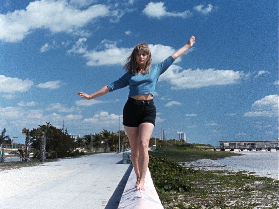 River of Grass : Foto