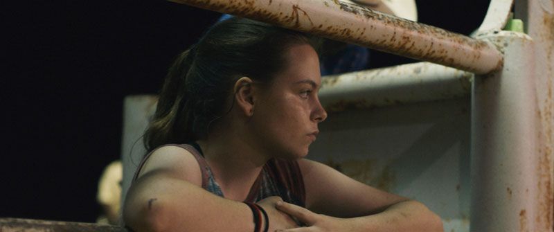 Bull : Foto Amber Havard