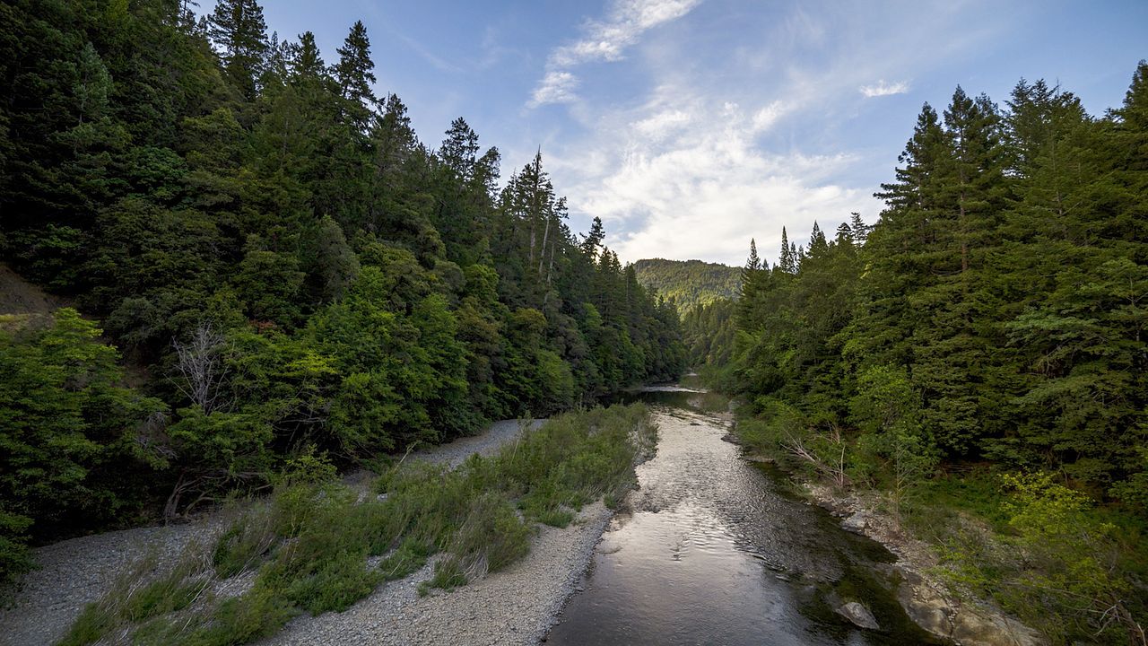 Hielo en llamas : Foto