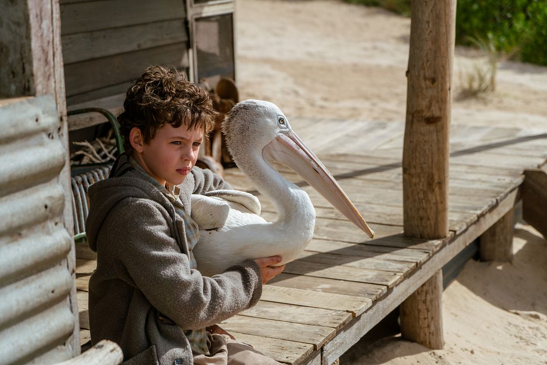 Amigos para siempre : Foto Finn Little