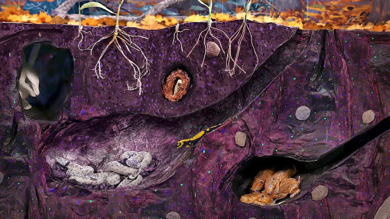 Bonjour le Monde! : Foto