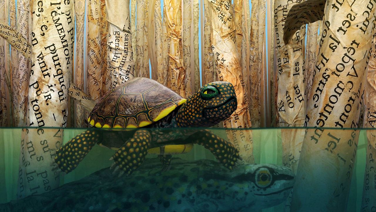 Bonjour le Monde! : Foto