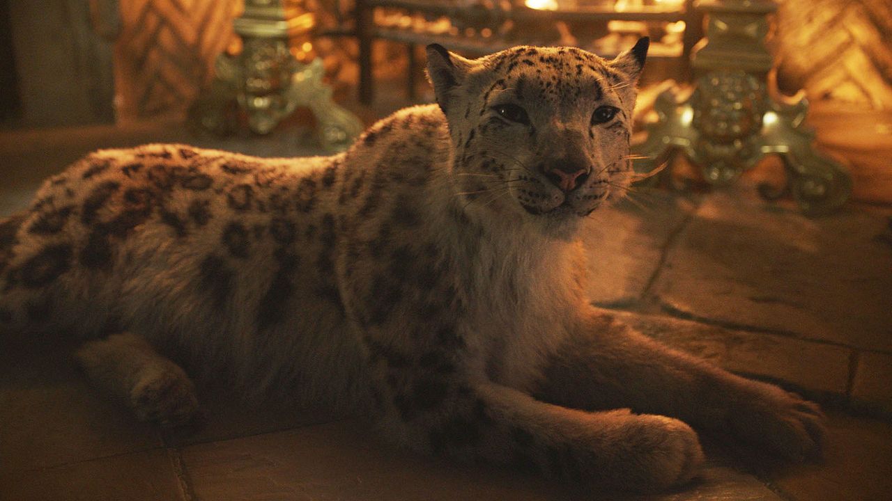 La Materia Oscura : Foto