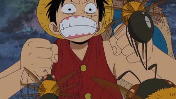 One Piece : Foto