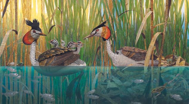 Bonjour le Monde! : Foto