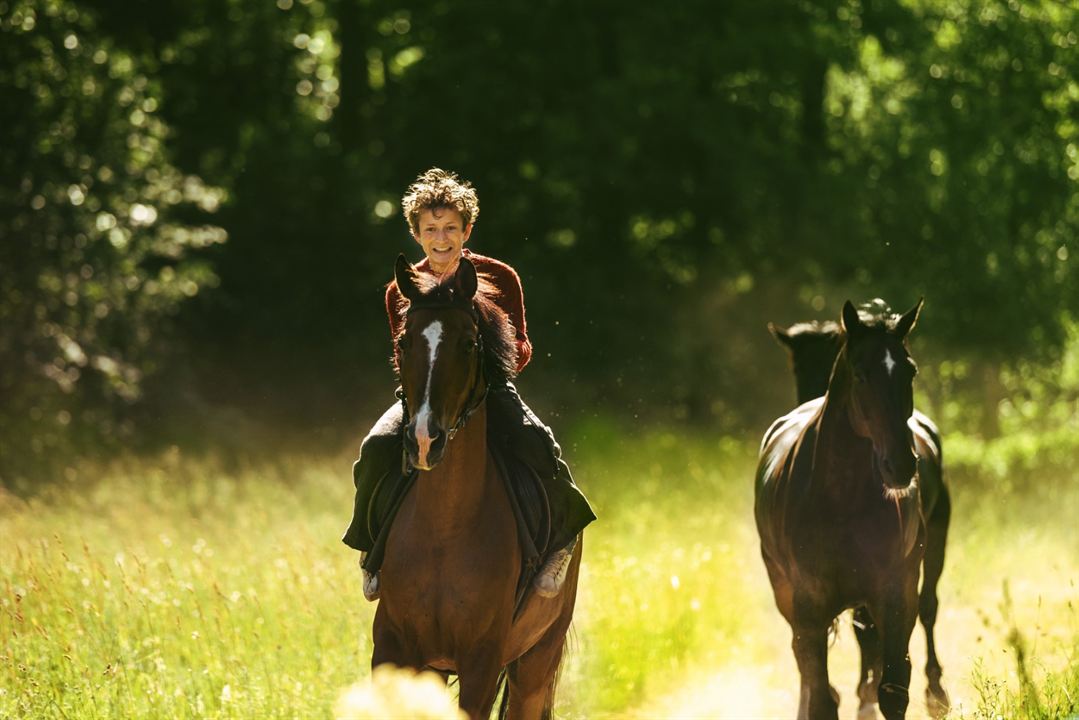 Ut og stjæle hester : Foto
