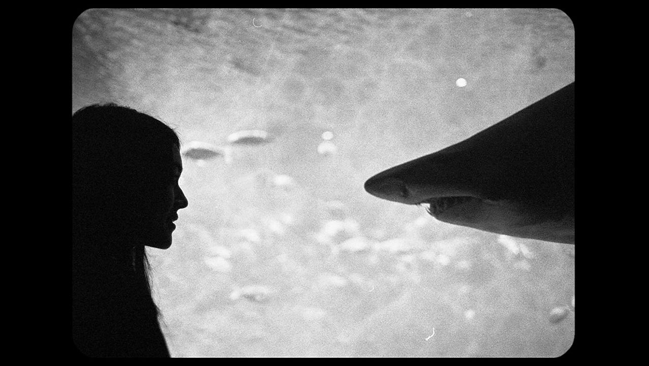 Letters to Paul Morrissey : Foto